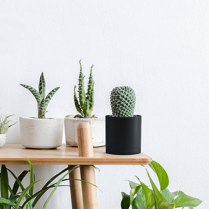 D'vine Dev 6 Pack 4 Inch Modern Plastic Plant Pots, Small Garden Planters for Plant with Drainage Holes and Saucers, Black Color, 74-Y-E-3