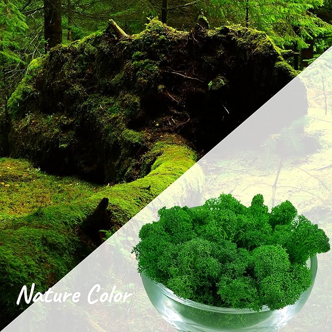 Moss Preserved Artificial Moss 8.8 oz Natural Fresh Green Moss for Craft Arts Floral Project Wall Decor Table Decor Wedding Centerpieces Garden Terrariums Decoration -MidGreen