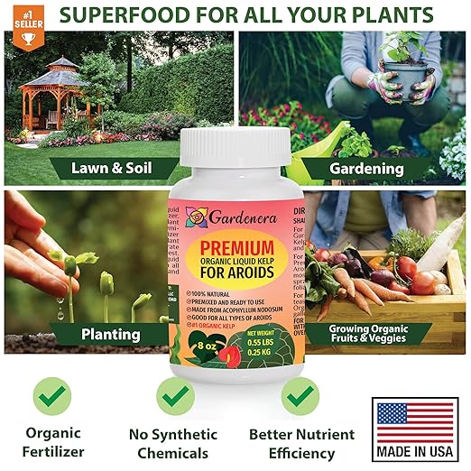 GARDENERA Premium Organic Seaweed & Kelp Superfood for AROID Plants - 8 oz - Liquid Kelp Fertilizer Concentrate (Makes 45 Gallons)