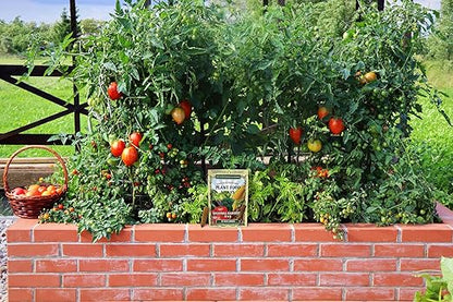 The Old Farmer's Almanac Tomato & Vegetable Plant Food Mini Spikes - NPK 6-4-6 for Continuous Feeding and Bountiful Harvests (24 Mini Spikes)