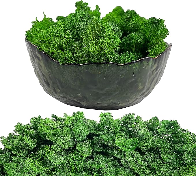 Moss Preserved Artificial Moss 8.8 oz Natural Fresh Green Moss for Craft Arts Floral Project Wall Decor Table Decor Wedding Centerpieces Garden Terrariums Decoration -MidGreen