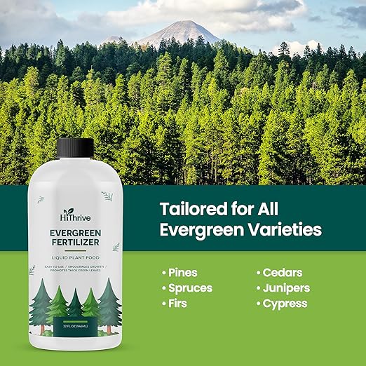 32oz Evergreen Fertilizer - Makes 32 Gallons of Evergreen Tree Fertilizer, Nutrient-Rich Tree Food for Lush, Resilient Foliage, Strong Branches, and Vibrant Greenery All Year Round