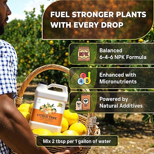 Leaves and Soul Professional Citrus Tree Fertilizer Liquid Concentrate - 6-4-6 Blend for Fruit Tree Fertilizer, Garden - Liquid Plant Food for Citrus Trees in Pots or Outdoors - 32oz