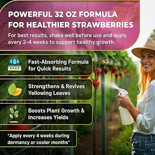 Leaves and Soul Professional Strawberry Fertilizer Liquid Concentrate - 6-4-6 Blend Liquid Garden Fertilizer for Strawberries - Plant Food for Strawberry Bushes and Plants - 32oz