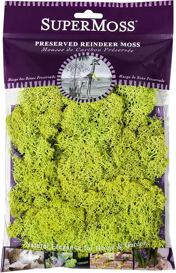 Super Moss (21708) Reindeer Moss Preserved, Chartreuse, Appx. 2 Ounce