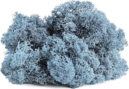 SuperMoss (25160) Reindeer Moss – Soft Preserved Moss for Home Decor, Crafts, Terrariums, Floral Design, and Wedding Decorations, 80.75 cu in, Azul