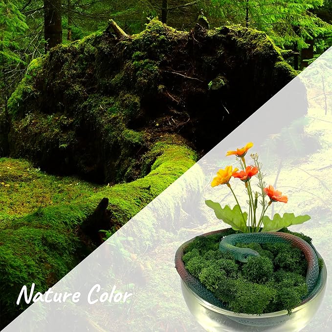 Moss Preserved Artificial Moss 8.8 oz Natural Fresh Green Moss for Craft Arts Floral Project Wall Decor Table Decor Wedding Centerpieces Garden Terrariums Decoration