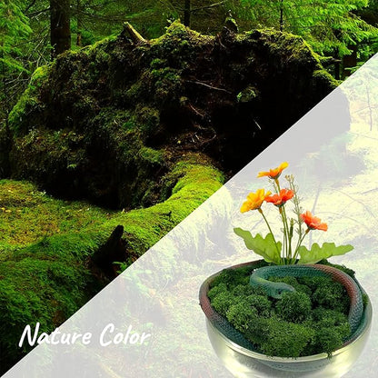 Moss Preserved Artificial Moss 8.8 oz Natural Fresh Green Moss for Craft Arts Floral Project Wall Decor Table Decor Wedding Centerpieces Garden Terrariums Decoration