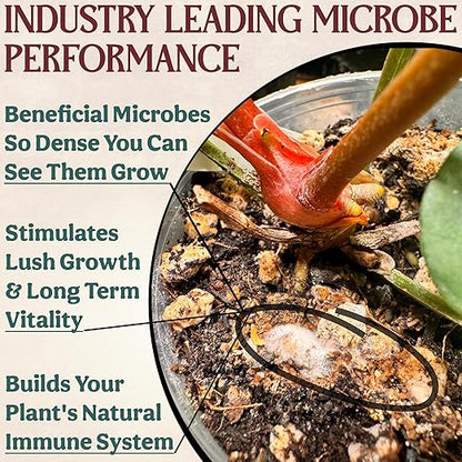 Complete Organic Cactus & Succulent Fertilizer, Succulent Plant Food & Cactus Food, Bonsai, Snake Plant Fertilizer, 11 Servings Fast & Slow Release Feeds up to 44 Plants 8 Months