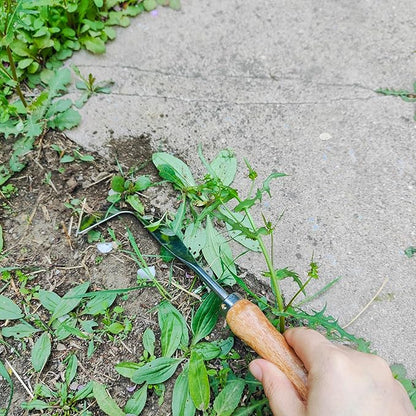 3 Pack Weed Remover Tool for Garden Patio, Manual Hand Weeder Tool, Crack Weeder Crevice Weeding Tool, 4 Teeth Weed Puller, Manual Tool for Lawn and Garden (Wood Color)