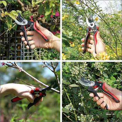 Eden 39001 Professional Sharp Bypass Pruning Shears, Tree Trimmers Secateurs,Hand Pruner, Garden Shears,Clippers For Garden, Bonsai Cutters