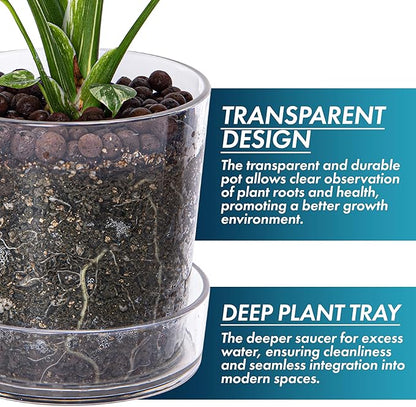 Phoenix Vine 6.5 Inch Clear Acrylic Planter Pot with Tray, Orchid Pot with Drainage Holes, Deep Saucer for Bottom Watering, Transparent Containers for Indoor Plants, Herbs, Set of 1, 91-A-F-1