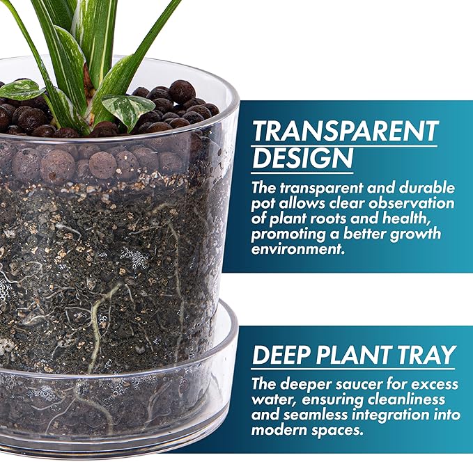 Phoenix Vine 6.5 Inch Clear Acrylic Planter Pot with Tray, Orchid Pot with Drainage Holes, Deep Saucer for Bottom Watering, Transparent Containers for Indoor Plants, Herbs, Set of 3, 91-A-F-3