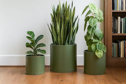 D'vine Dev 10 Inch 12 Inch 14 Inch, Set of 3 Plastic Planter Pots for Plants with Drainage Hole and Seamless Saucers, Olive, XX-Large, 74-V-I-6