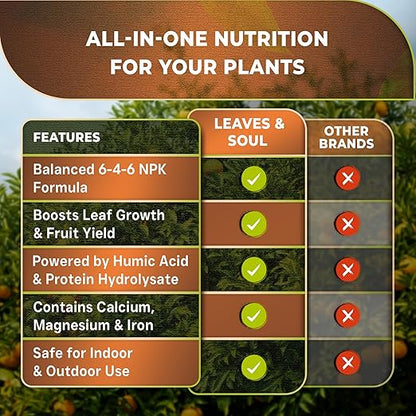 Leaves and Soul Professional Citrus Tree Fertilizer Liquid Concentrate - 6-4-6 Blend for Fruit Tree Fertilizer, Garden - Liquid Plant Food for Citrus Trees in Pots or Outdoors - 32oz