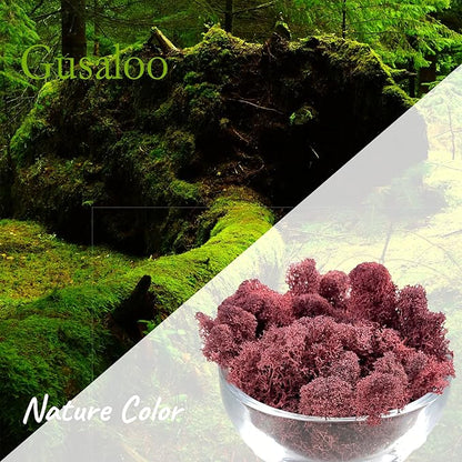 Moss Preserved Artificial Moss - Natural Fresh Green for Craft, Arts, Floral Projects, Wall & Table Decor, Wedding Centerpieces, Garden Terrariums - Dark Pink, 3.5OZ