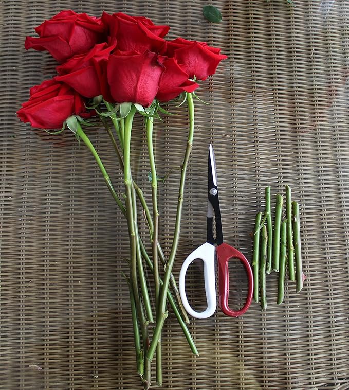 8" Bonsai Cutter Pruning Shear tool used for Gardening, Arranging Flowers, Trimming Plants, Branches, Stainless Steel Red White Handles