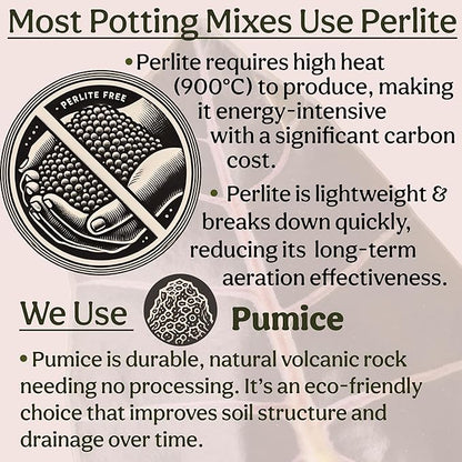 Craft Organic Houseplant Potting Mix, Elite House Plant Soil, Chunky, Well Draining Potting Soil for All Indoor Plants, Tropical Plants & Flowers, Sustainable & Peat Free, Less Prone to Gnats, 12QT