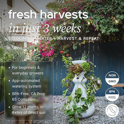 Farmstand Starter Kit + 12 Seedling Credits | Tiny Hydroponic Growing System Kit | Self-Watering Outdoor Vertical Garden Planter Tower | 3ft 8in | Made in USA