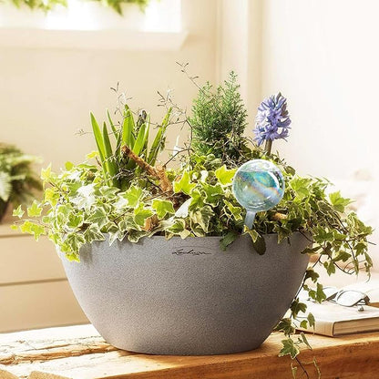 Clear Plant Watering Globes Set of 6 - Large Self Watering Globes for Indoor & Outdoor Plants - Automatic, Glass Watering Bulbs for Daily Use, Plant Watering Devices