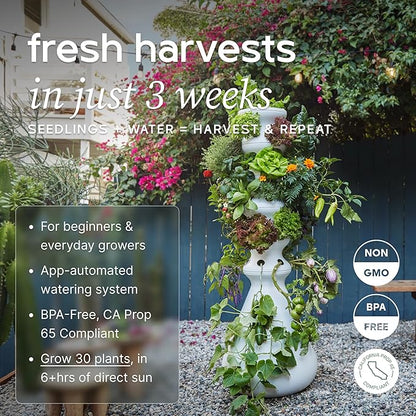 Farmstand Starter Kit + 30 Seedling Credits | Family Hydroponic Growing System Kit | Self-Watering Outdoor Vertical Garden Planter Tower | 5ft 5in | Made in USA