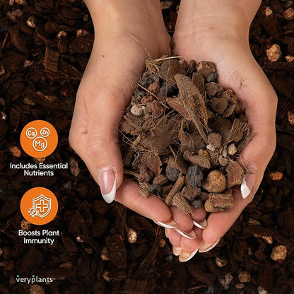 Molly's Orchid Potting Mix - Premium Gritty Soilless Orchid Mix - Chunky High Drainage vs Standard Potting Soil for Indoor Plants - Contains Bark, Coco Chips, Akadama, Pumice, Lava Rock 3 Dry Quarts