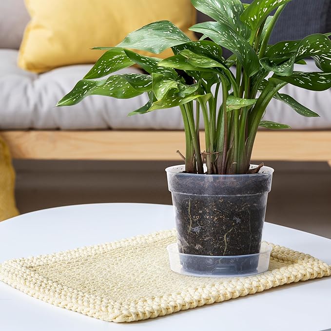 6 Inch Clear Plastic Plant Pot with Drainage Holes, Interlocking & Detachable Tray - Deep Saucer - Durable BPA-Free Plastic, Transparent Design, Raised Base for Airflow, Set of 6, 92-X-A-5