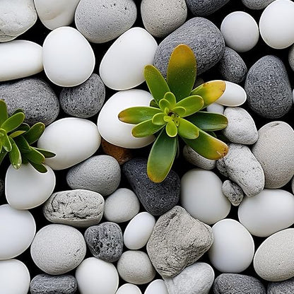 Large River Rocks for Landscaping 20lbs, 3-4 Inch White River Rocks, Hand-Picked Natural Stones for Garden Design Fish Tank, Pathways and Backyard