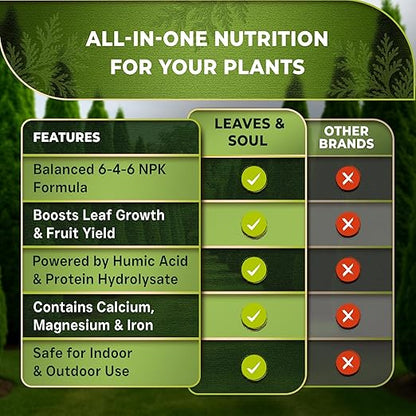 Leaves and Soul Professional Arbor Vitae Tree Fertilizer Liquid Concentrate - 6-4-6 Blend for Arbor Vitae, Garden Use - Liquid Plant Food for Arbor Vitae Trees and Shrubs Outdoors - 8oz