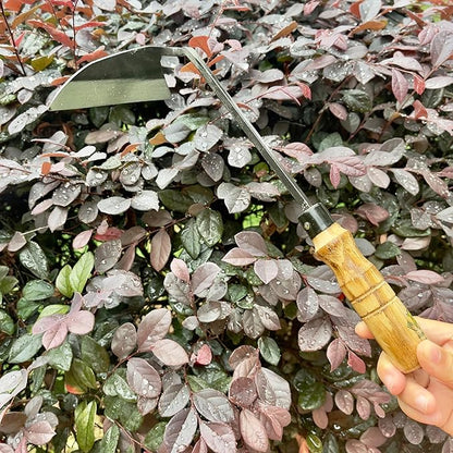 alanx 12 Inch Japanese Gardening Hand Weeding Sickle, Weeding Hoe with Long Wooden Handle