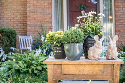 Headwind 12" Sheridan Planter - Spearmint