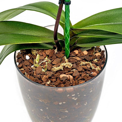 Premium Orchid Soil Mix by Gardenera - Hand Mixed New Zealand Pinus Radiata 100% Natural Potting Soil Bark Mix - for Phalaenopsis Orchid - 1 Quart - Made in USA