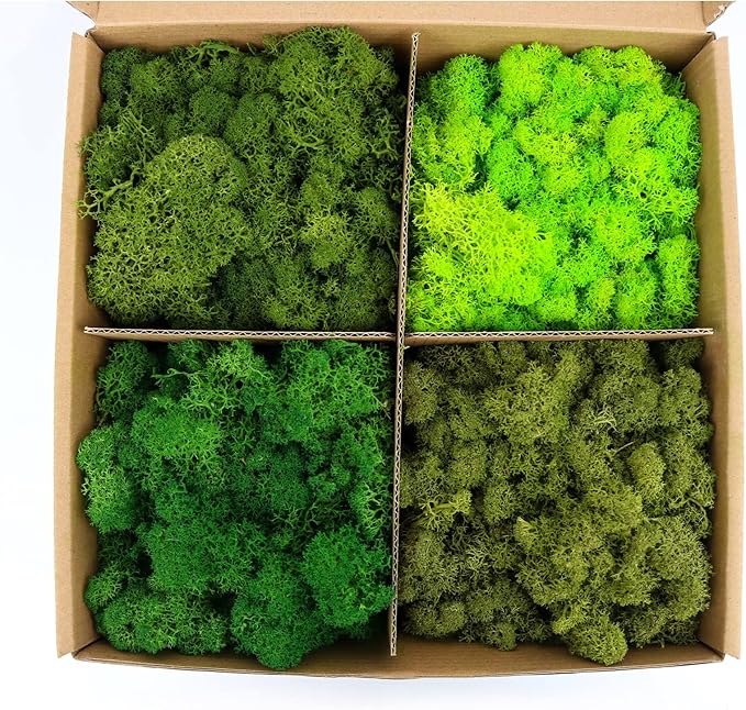 Amoueterno Preserved Moss 4 Color Reindeer Moss,Total 14OZ Each Color 3.5OZ, Natural Real Green Moss DIY Kit Moss Crafts Art Wall Decor Florist Decor Forest Green/Yellow Green/Leaves Green/Grass Gree
