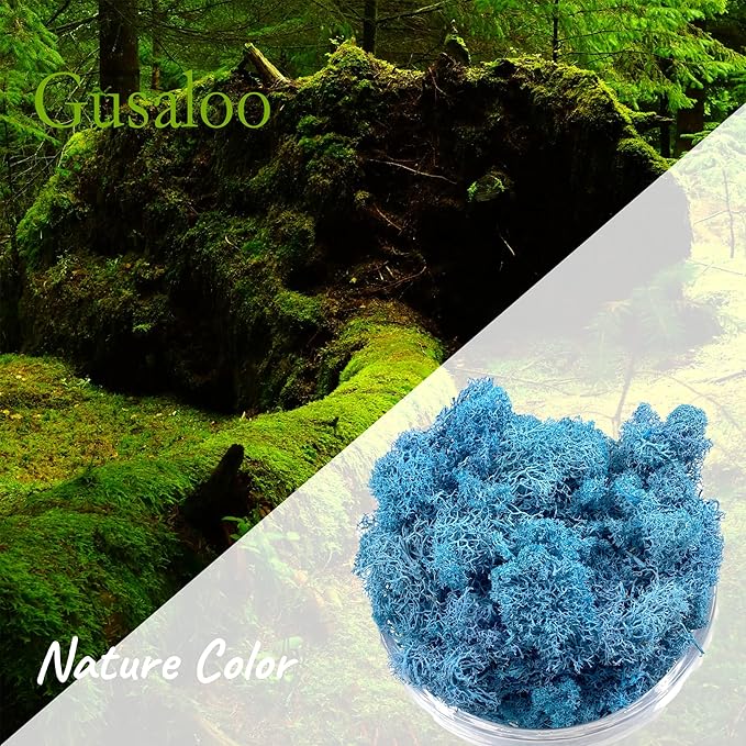 Moss Preserved Moss - Natural Fresh Green for Craft, Arts, Floral Projects, Wall & Table Decor, Wedding Centerpieces, Garden, Terrariums - Sky Blue, 3.5OZ