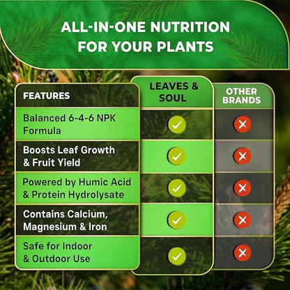 Leaves and Soul Professional Pine Tree Fertilizer Liquid Concentrate - 6-4-6 Blend for Pine, Garden Use - Liquid Plant Food for Pine Trees and Shrubs Outdoors - 32oz