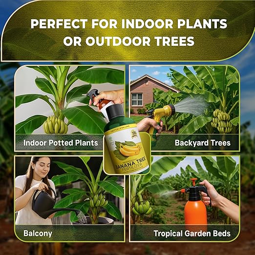 Leaves and Soul Professional Banana Tree Fertilizer Liquid Concentrate - 6-4-6 Blend for Fruit Tree Fertilizer, Garden - Liquid Plant Food for Banana Trees in Pots or Outdoors - 8oz