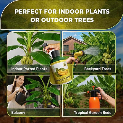 Leaves and Soul Professional Banana Tree Fertilizer Liquid Concentrate - 6-4-6 Blend for Fruit Tree Fertilizer, Garden - Liquid Plant Food for Banana Trees in Pots or Outdoors - 8oz