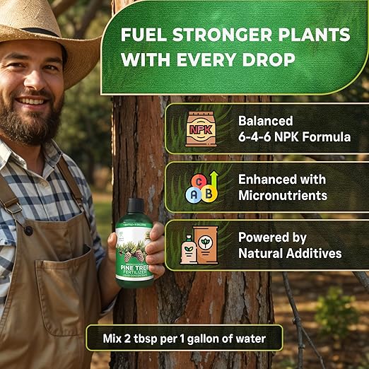 Leaves and Soul Professional Pine Tree Fertilizer Liquid Concentrate - 6-4-6 Blend for Pine, Garden Use - Liquid Plant Food for Pine Trees and Shrubs Outdoors - 8oz