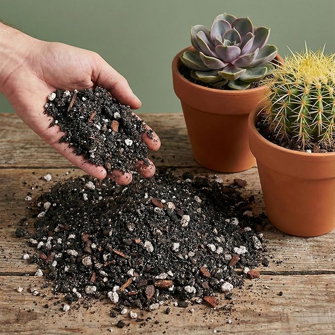 Cactus & Succulent Potting Mix - 5 Qt/8 Lbs Premium Gritty Fast Draining Soilless Potting Mix for Cactus, Succulents, Jade, Aloe Vera - Healthy Roots - Made in USA