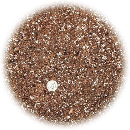 Premium Organic Seed Starter Soil - 1 Quart - All-Purpose Organic Potting Soil for Happy Seedlings and Plants by Gardenera