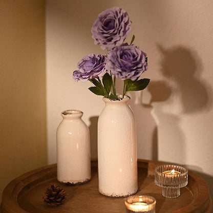 VICTOR & TERESA White Ceramic Vases Home Decor, Farmhouse Vase for Flowers, Flower Vase Set of 2, Rustic Decorative Vases for Pampas Grass, Table, Living Room, Shelf, Centerpieces, 8 inch