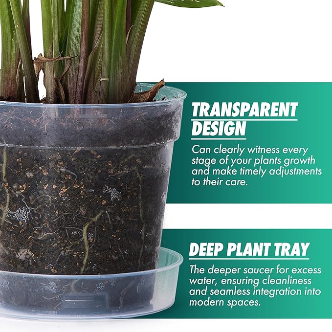 6 Inch Clear Plastic Plant Pot with Drainage Holes, Interlocking & Detachable Tray - Deep Saucer - Durable BPA-Free Plastic, Transparent Design, Raised Base for Airflow, Set of 6, 92-X-A-5