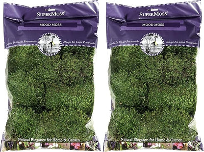 Super Moss Mood Moss Preserved Natural Green 1200cuin, Fresh Green, 200 in3 Bag (Appx. 8oz) (21539) (Pack of 2)