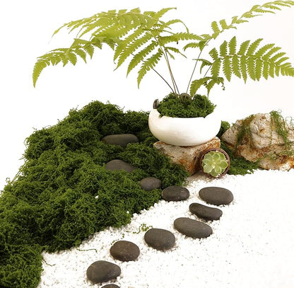 Dark Green Moss is Used for Handicrafts, Artificial Moss, Glass Vase Fillers, Wedding/Christmas/Spring Green Parties/Indoor Flower Pots/DIY Rainforest Models/Table Decoration (7.05 Ounces)