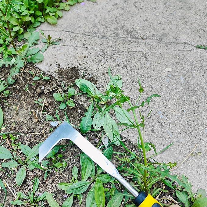 3 Pack Weed Remover Tool for Garden Patio, Manual Hand Weeder Tool, Crack Weeder Crevice Weeding Tool, 4 Teeth Weed Puller, Manual Tool for Lawn and Garden (Black)