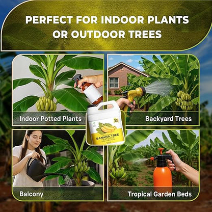 Leaves and Soul Professional Banana Tree Fertilizer Liquid Concentrate - 6-4-6 Blend for Fruit Tree Fertilizer, Garden - Liquid Plant Food for Banana Trees in Pots or Outdoors - 32oz