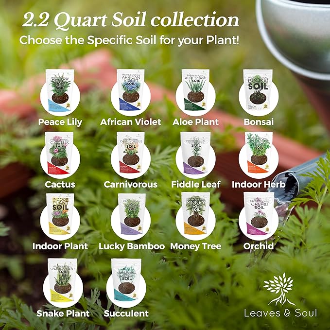 Professional Cactus Soil | Large 2.2 Quarts Ready to Use for Cactus Plants | Peat Moss, Coco Coir, Perlite, Dolomite | Made in USA