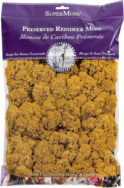 SuperMoss (23153) Reindeer Moss Preserved, Mango, 8oz