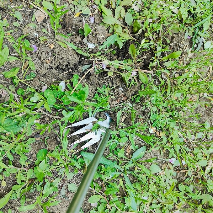 3 Pack Weed Remover Tool for Garden Patio, Manual Hand Weeder Tool, Crack Weeder Crevice Weeding Tool, 4 Teeth Weed Puller, Manual Tool for Lawn and Garden (Black)