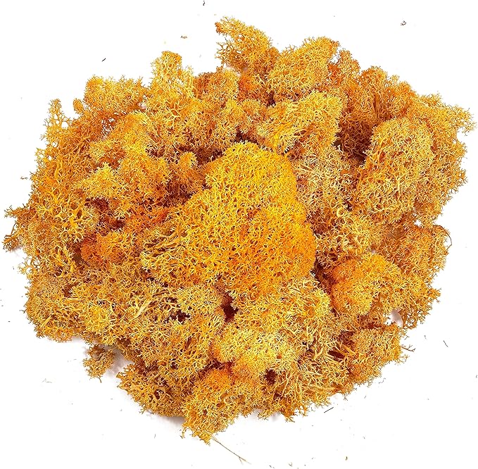 Moss Preserved Moss for Potted Plants Natural Fresh Green Reindeer Moss for Craft Arts Floral Wall Decor Decor Wedding Centerpieces Garden Artificial Terrariums Decoration for Christmas-Orange 3.52OZ